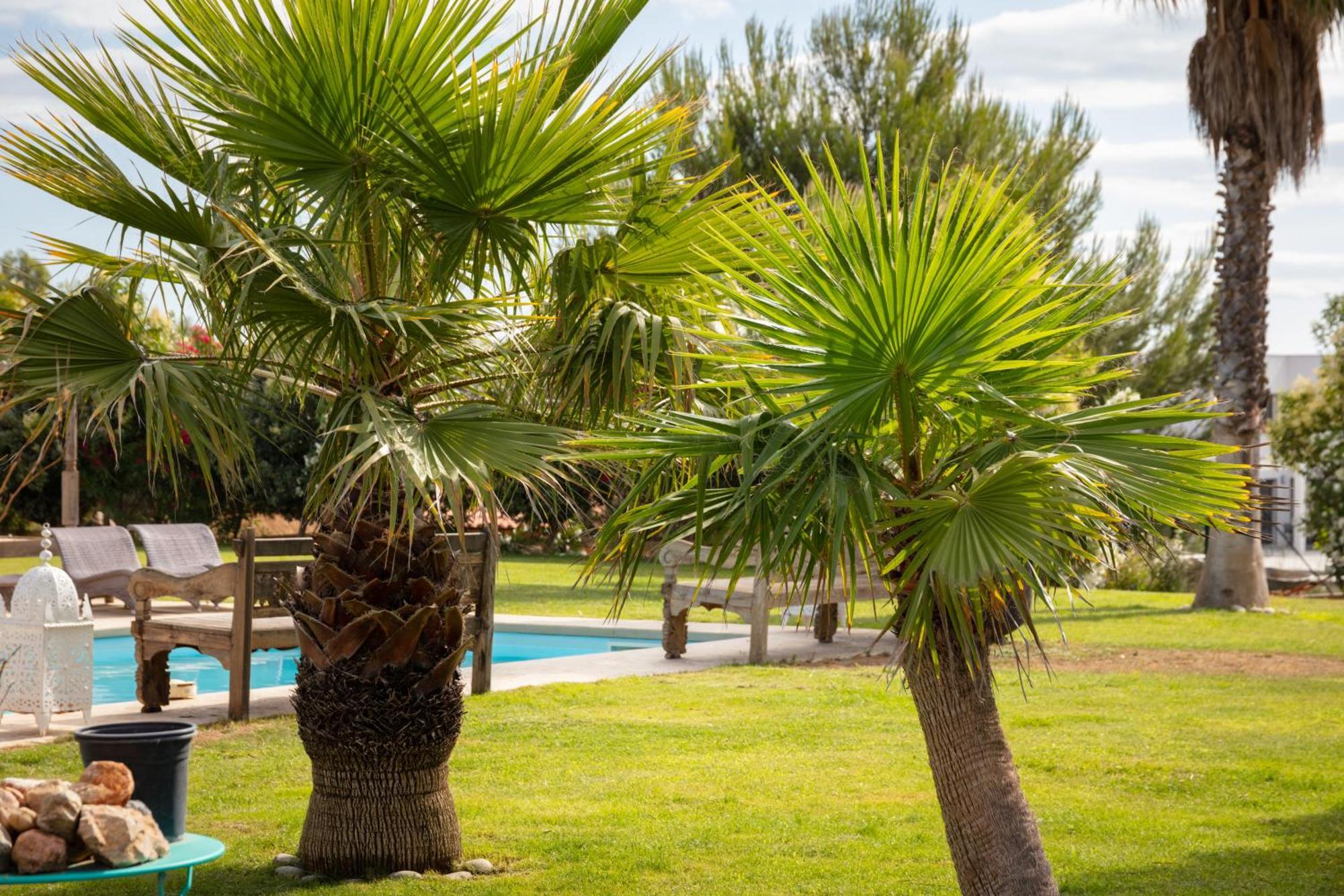 Escapades Lointaines Bed & Breakfast Perpignan Bagian luar foto