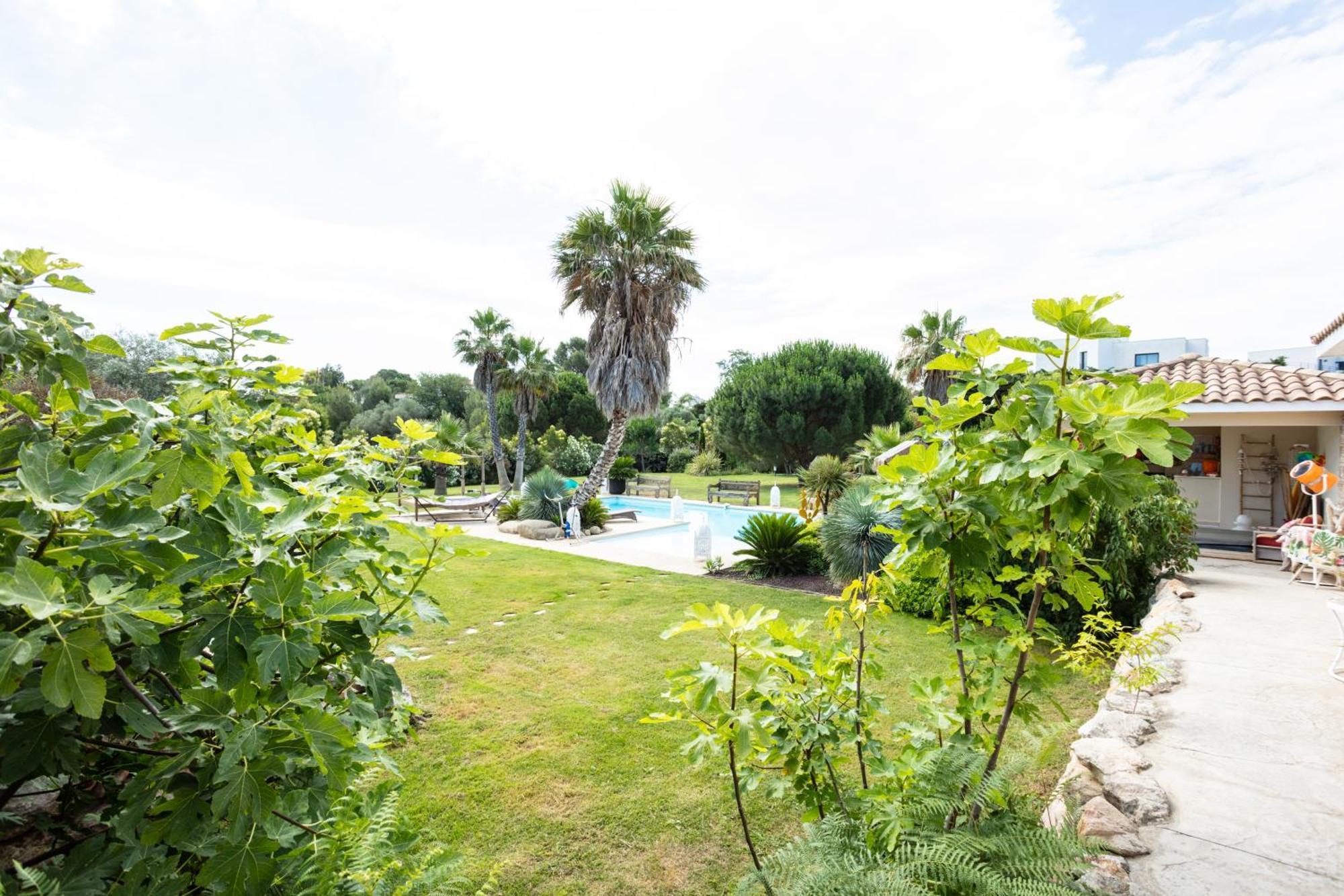 Escapades Lointaines Bed & Breakfast Perpignan Bagian luar foto